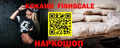 стаф Дубна