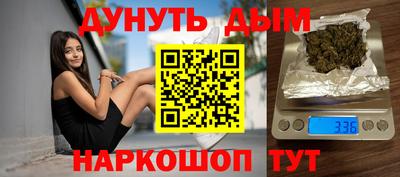 стаф Дубна