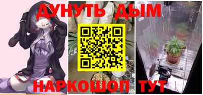стаф Дубна