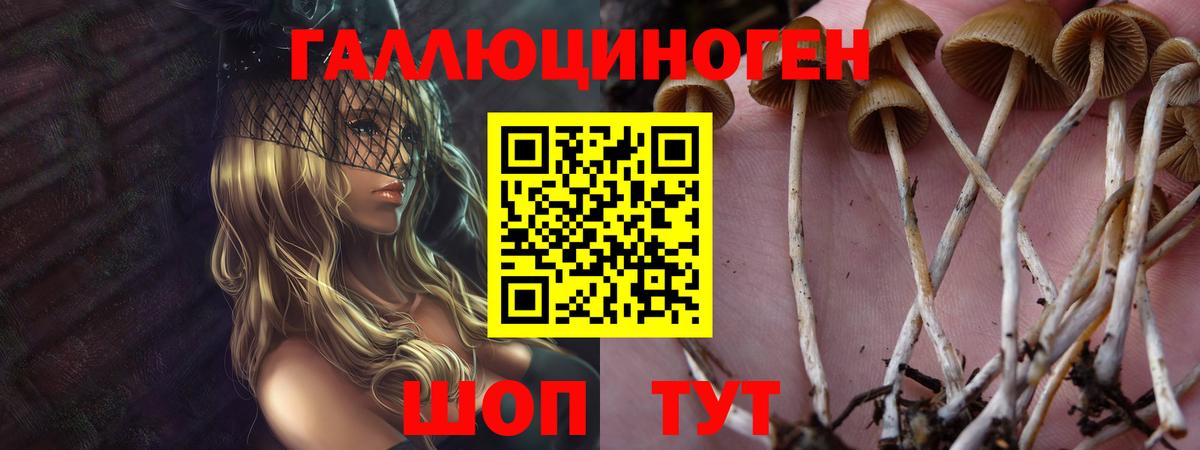 Заречный  Галлюциногенные грибы Cubensis  Вход с VPN  Псилоцибиновые грибы Psilocybine cubensis 